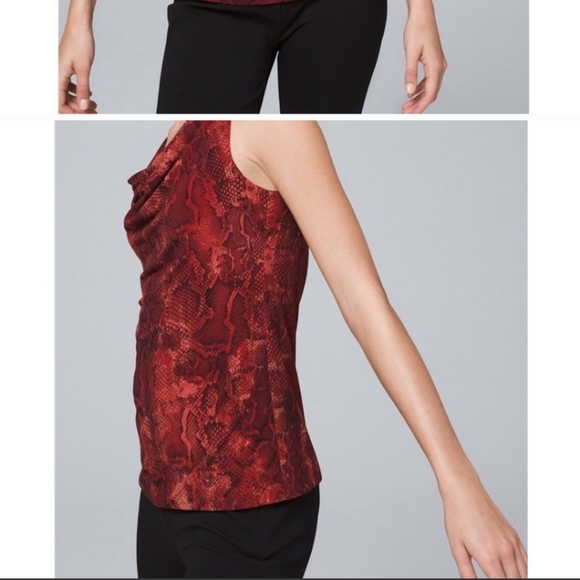 White House Black Market | Python-Print Top - Picture 16 of 16